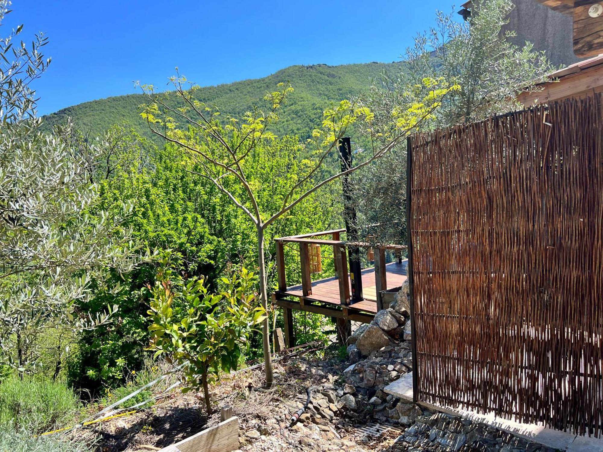 Les Magnels Bed & Breakfast Valleraugue Bilik gambar