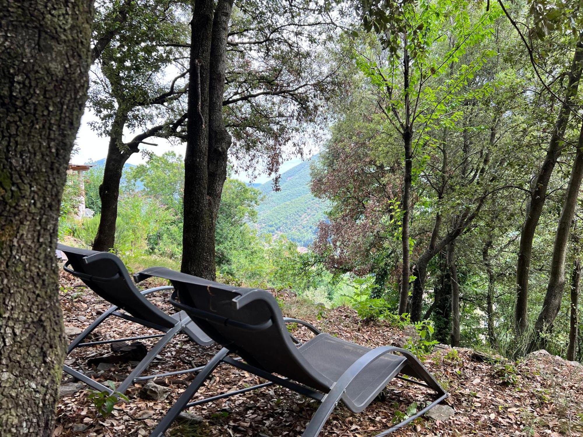 Les Magnels Bed & Breakfast Valleraugue Luaran gambar