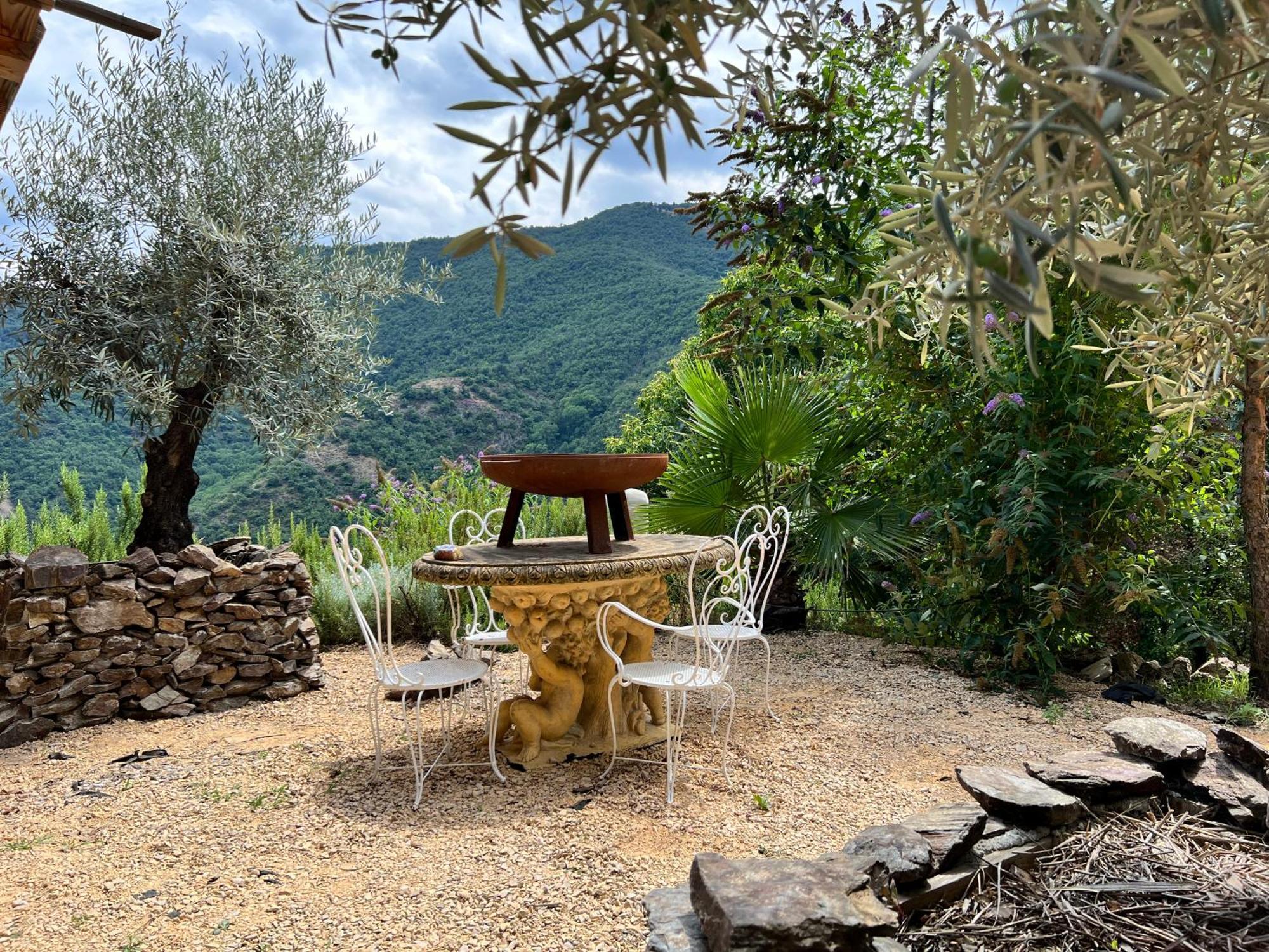 Les Magnels Bed & Breakfast Valleraugue Luaran gambar