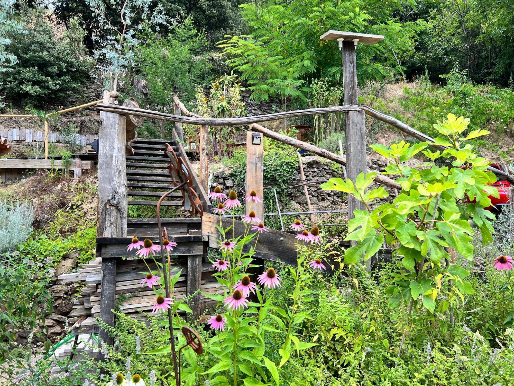 Les Magnels Bed & Breakfast Valleraugue Luaran gambar